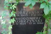 Włodzimierz Kobrzyński