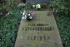 b.d. Matuszewicz