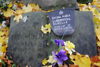 Kalina Maria Lubowidzka - Bubella